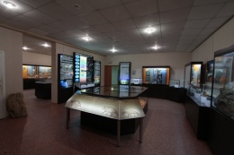 Филиал Вятского палеонтологического музея в г. Котельнич